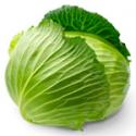 Cabbage