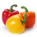 Sweet Pepper