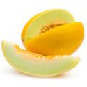 Melon