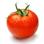 Tomato Indeterminate